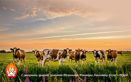 День работников сельского хозяйства и перерабатывающей промышленности