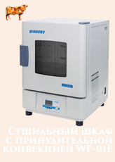 Сушильный шкаф с принудительной конвекцией WF-01E