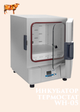 Инкубатор-термостат WH-05