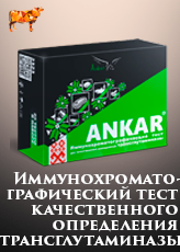 Иммунохроматографический тест качественного определения трансглутаминазы